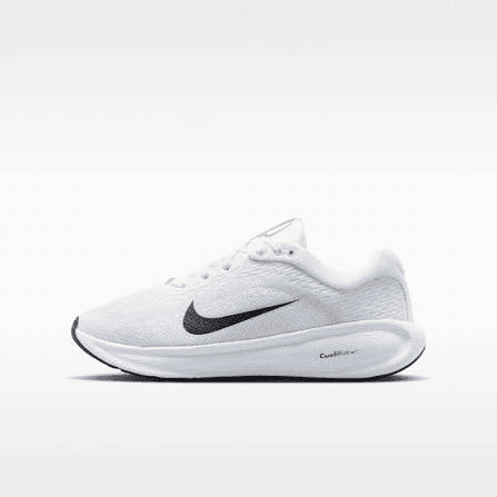 Nike Nike Winflo 11
